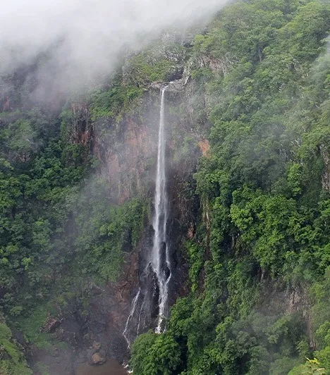 Similipal