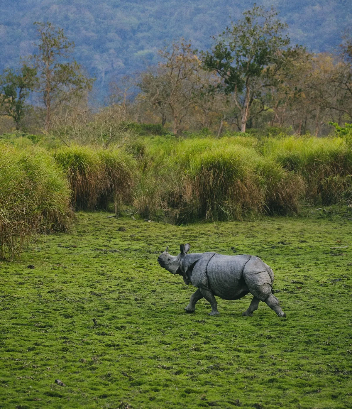 Assam
